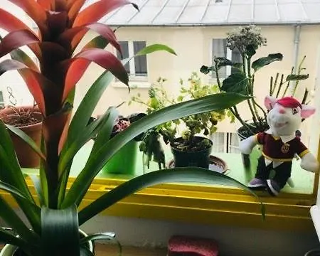 Xi Grande 2 Da Letto Bagno Privato 4 E Ospiti Appartamento Parigi